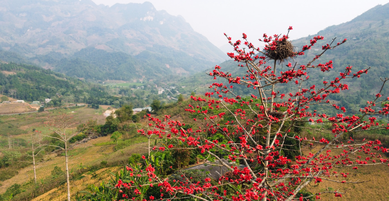 Caravan Đông Bắc: Nội Bài - Phú Thọ - Tuyên Quang - Hà Giang - Cao Bằng - Lạng Sơn - Nội Bài