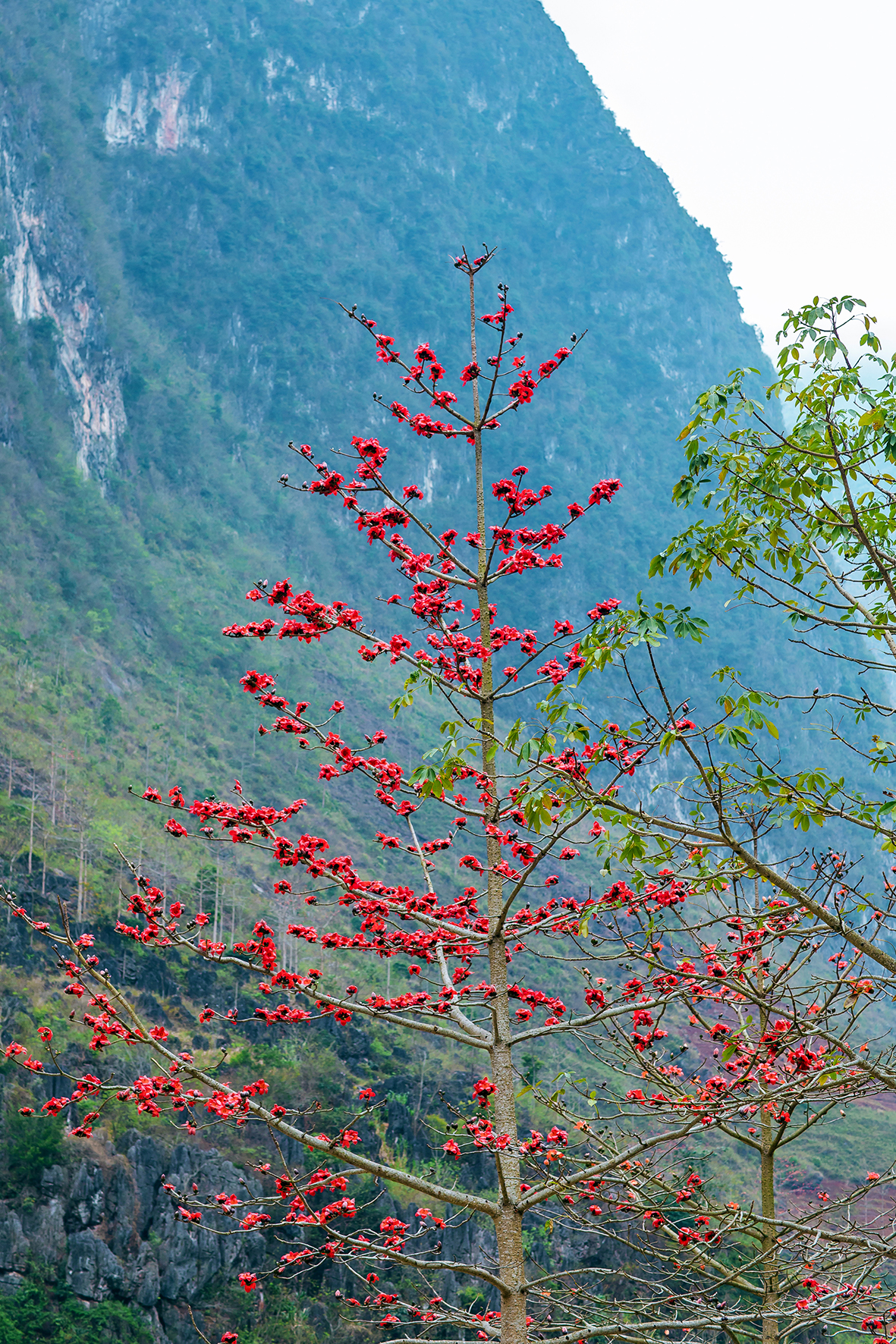 Caravan Đông Bắc: Nội Bài - Phú Thọ - Tuyên Quang - Hà Giang - Cao Bằng - Lạng Sơn - Nội Bài