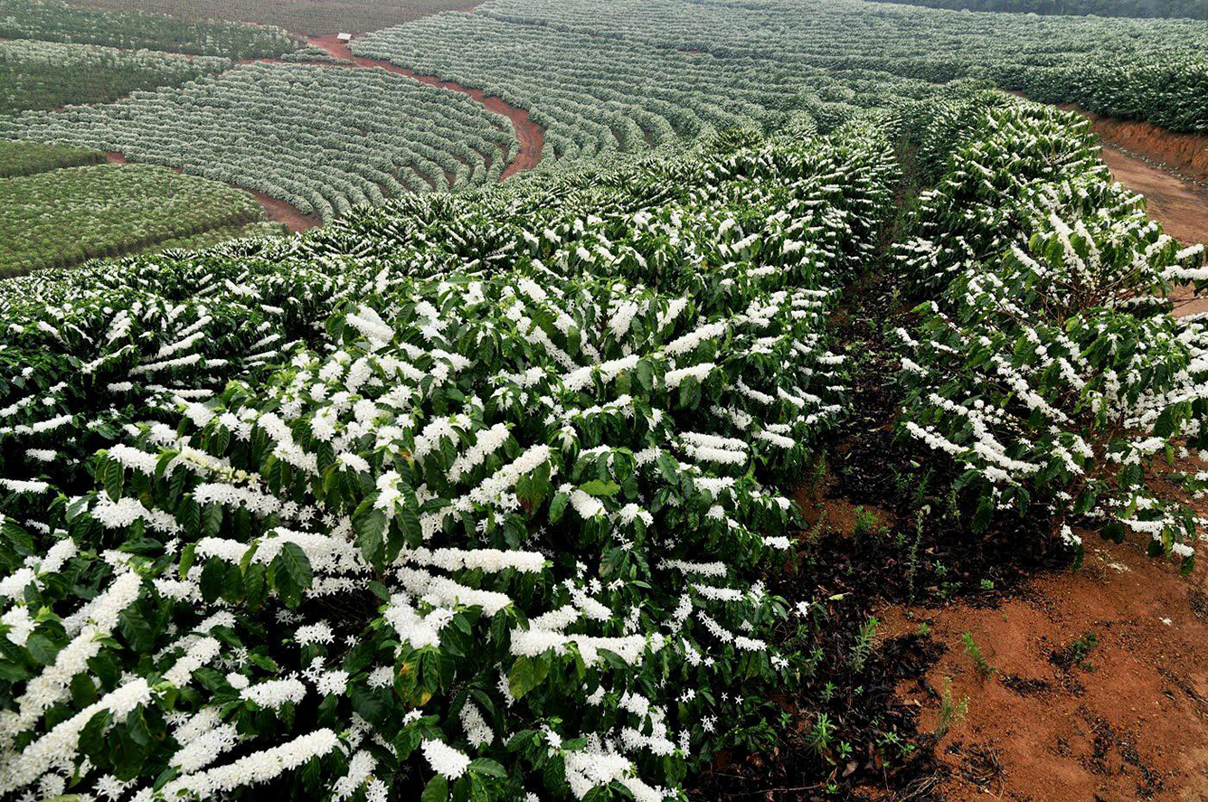 Caravan Tây Nguyên: Buôn Ma Thuột