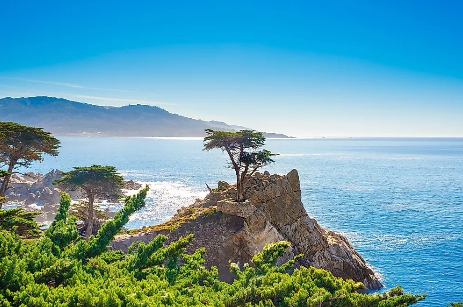 Caravan Hoa Kỳ: Cung đường bờ biển Thái Bình Dương Pacific Coast (Los Angeles - Santa Barbara - San Luis - Monterey - Big Sur - Santa Cruz - Napa Valley - San Francisco)