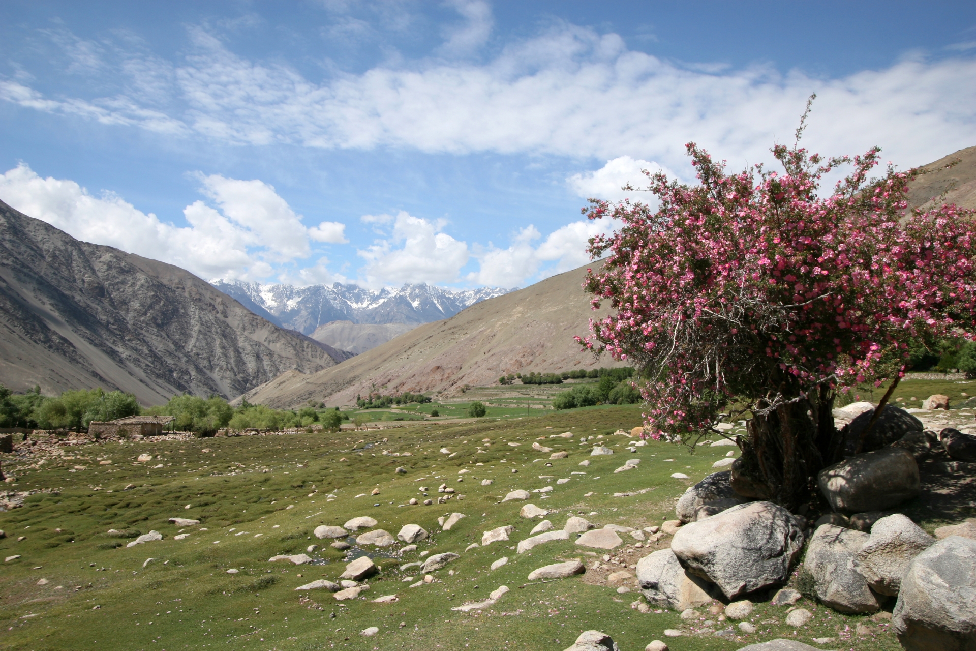 Caravan motor Ấn Độ: Chinh phục Ladakh huyền thoại