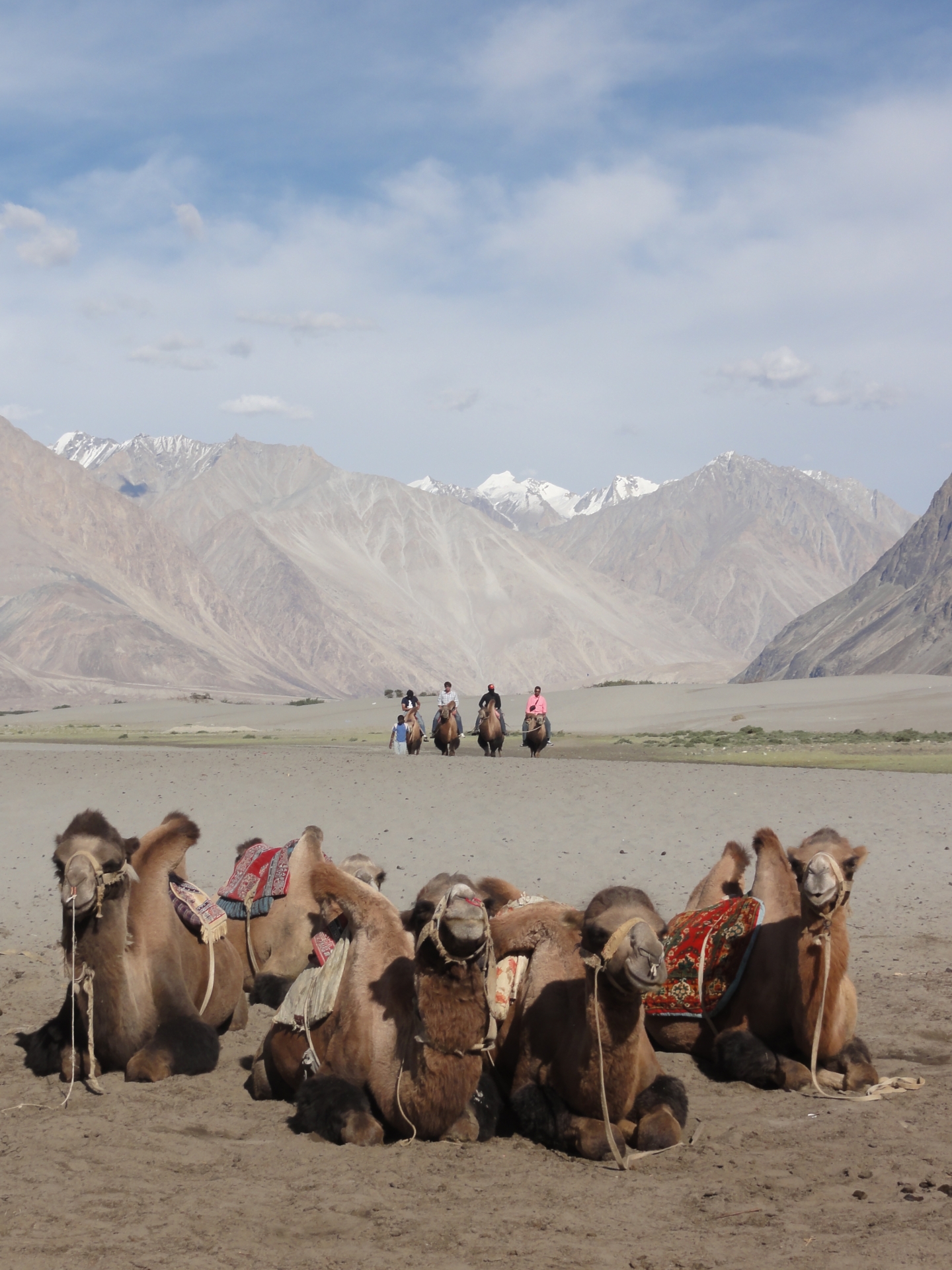 Caravan motor Ấn Độ: Chinh phục Ladakh huyền thoại