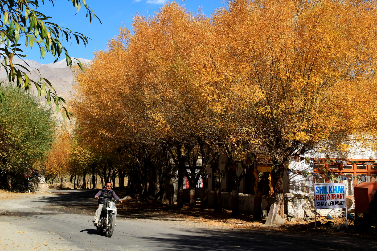 Caravan motor Ấn Độ: Chinh phục Ladakh huyền thoại