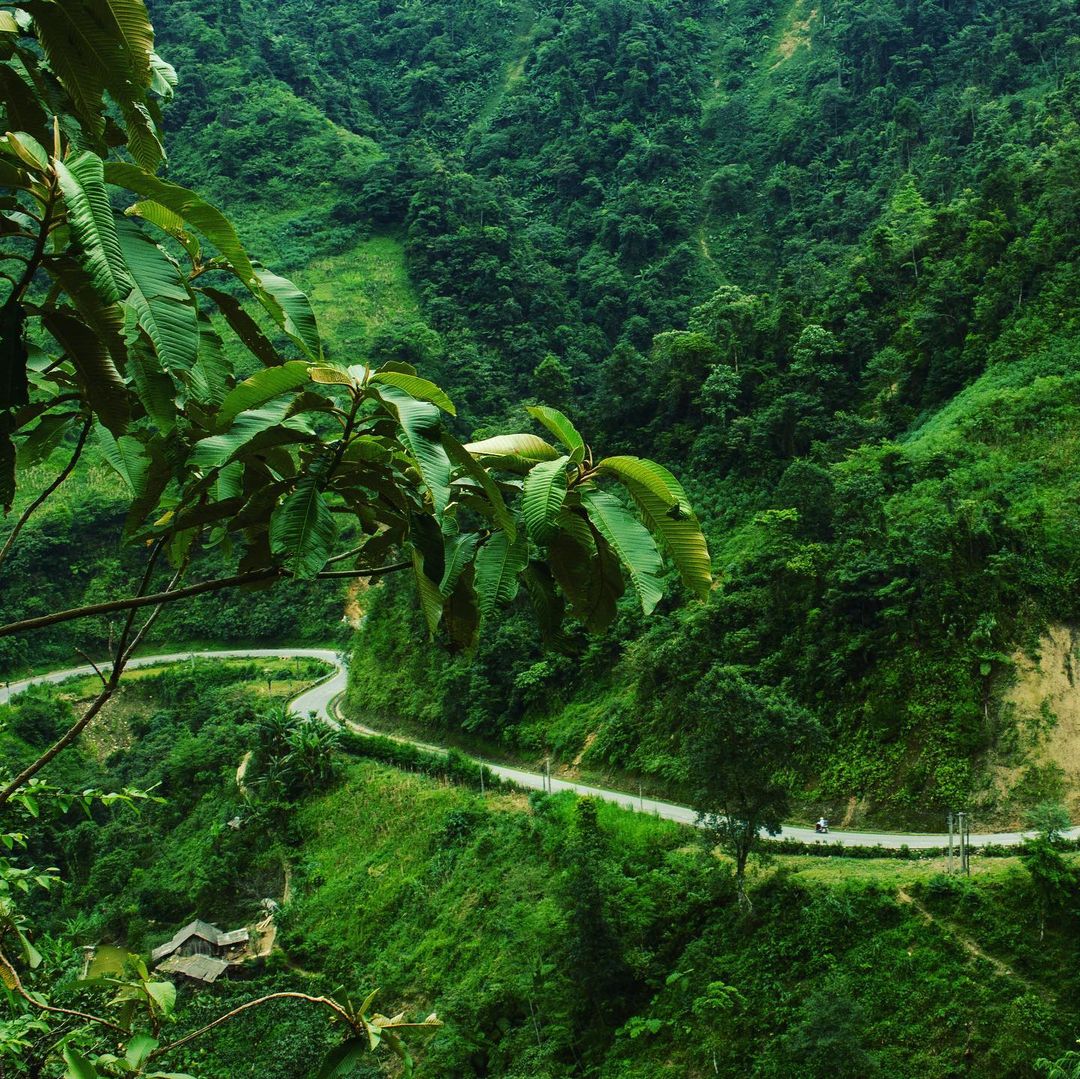 Caravan Tây Bắc mùa lúa chín: Pù Luông - Hòa Bình - Mù Cang Chải - La Pán Tẩn - Tà Xùa