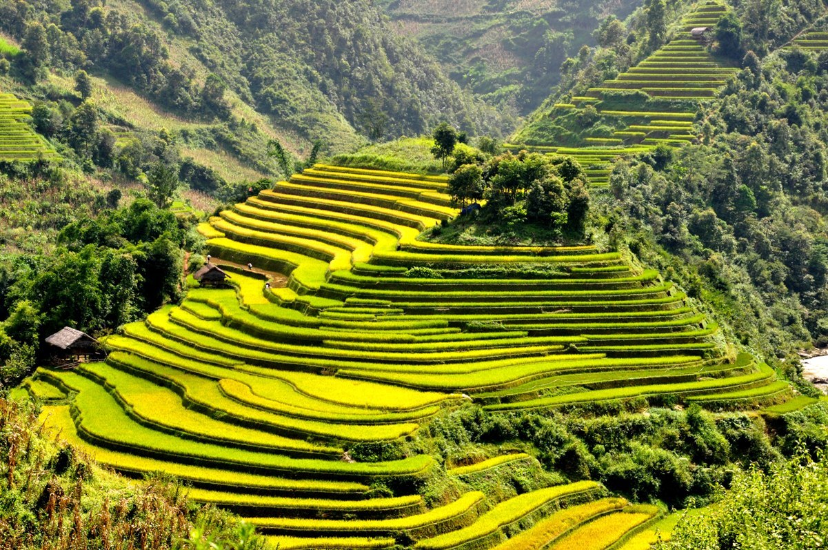 Caravan Tây Bắc mùa lúa chín: Pù Luông - Hòa Bình - Mù Cang Chải - La Pán Tẩn - Tà Xùa