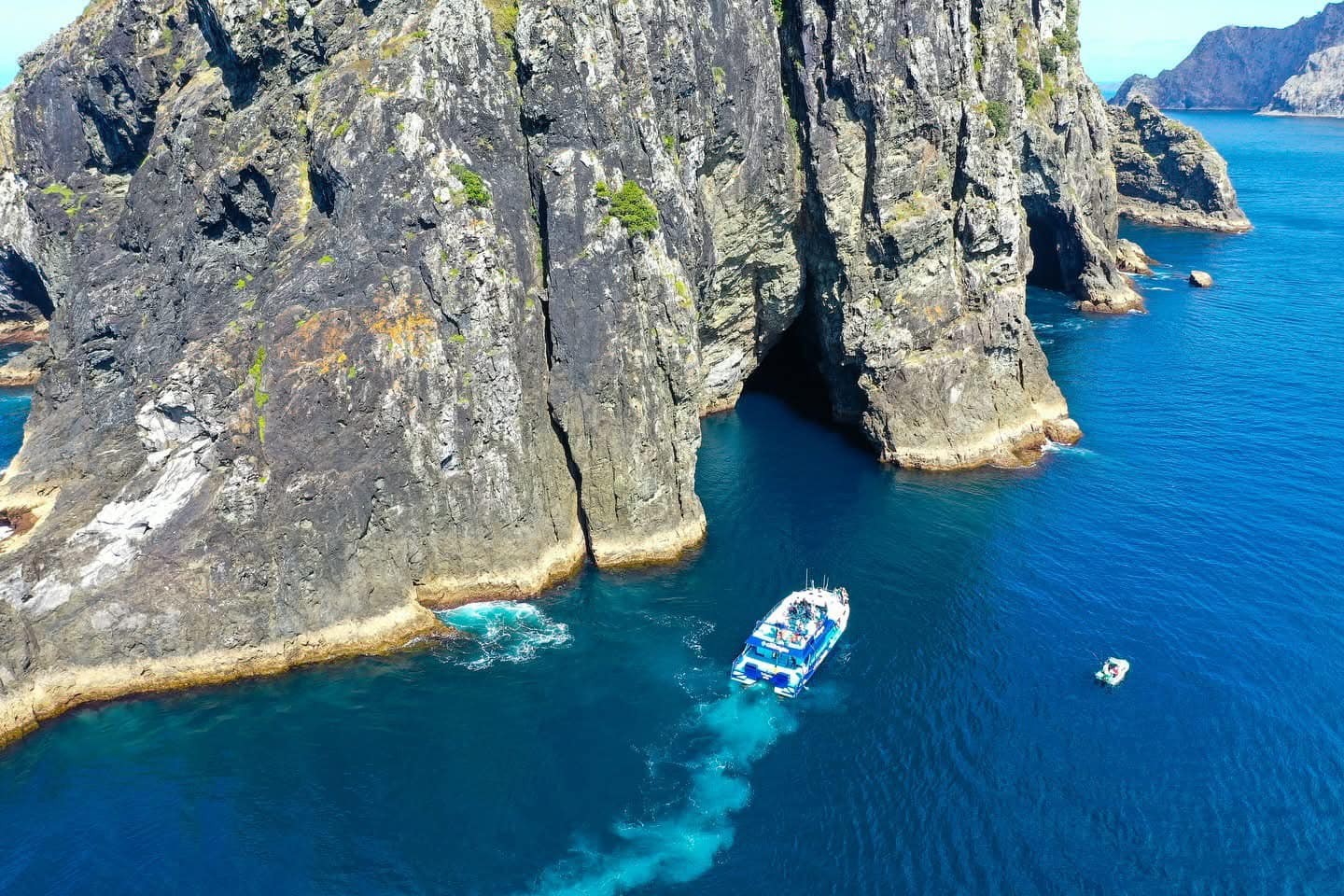 Caravan Úc: Khám phá cung đường Great Ocean Road (Sydney - Dolphin Point - Eden - Phillip Island - Melbourne - Geelong - Great Ocean Road - Port Campbell - Adelaide)