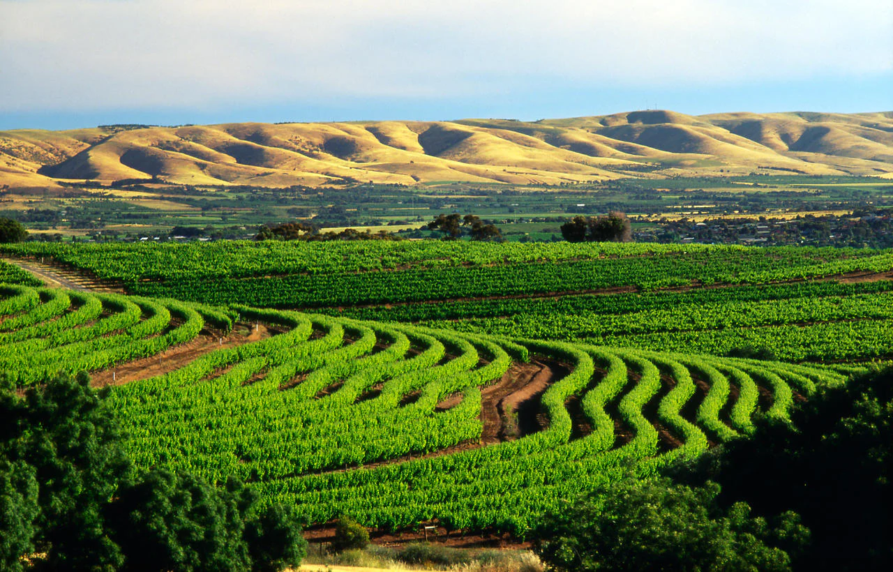 Caravan Úc: Melbourne - Grampians - Limestone Coast Robe - McLaren Vale - Adelaide