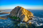 Caravan Hoa Kỳ: Cung đường bờ biển Thái Bình Dương Pacific Coast (Los Angeles - Santa Barbara - San Luis - Monterey - Big Sur - Santa Cruz - Napa Valley - San Francisco)