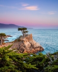 Caravan Hoa Kỳ: Cung đường bờ biển Thái Bình Dương Pacific Coast (Los Angeles - Santa Barbara - San Luis - Monterey - Big Sur - Santa Cruz - Napa Valley - San Francisco)